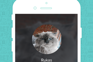 image for Pet of the Week: Rukas